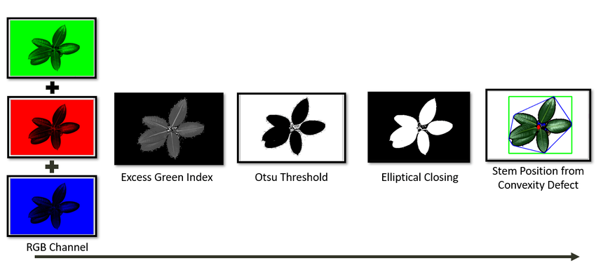Paper figure showing the visual pipeline from RGB channels through thresholding and elliptical closing to stem localization