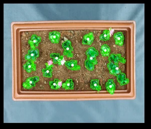 Plant-bed image with detected contour centroids