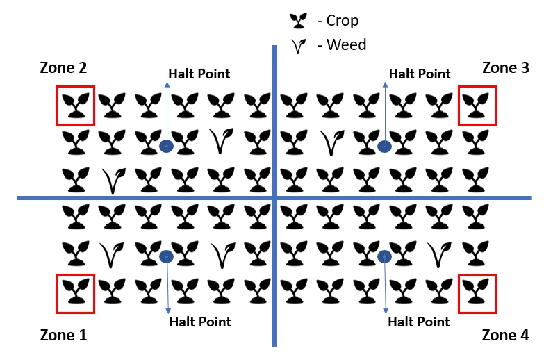 Plant-bed planning layout divided into four zones with intermediate halt points and crop and weed positions