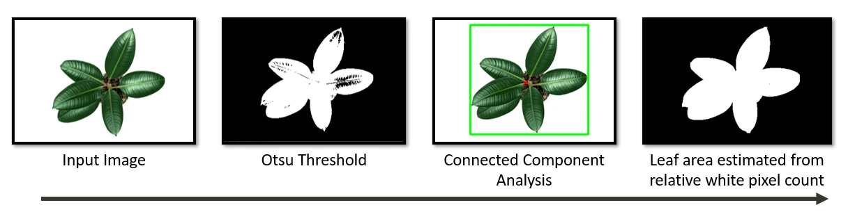 Leaf-area estimation sequence from plant image through thresholding and connected-component analysis