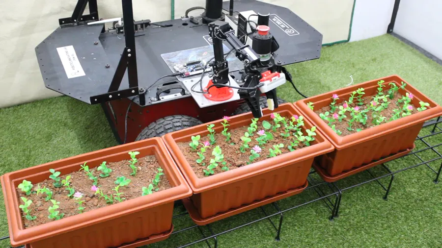 Manipulator aligning its end effector above a target plant in the centre bed