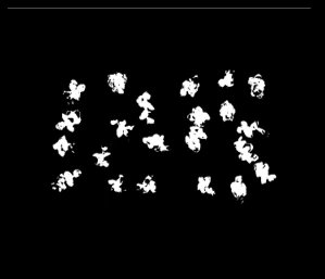 Thresholded binary mask of plants in the bed