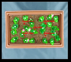 Plant-bed image divided into planning zones with detected zone centres